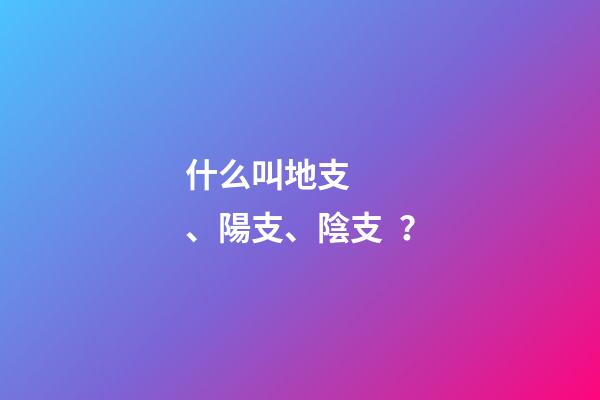 什么叫地支、陽支、陰支？